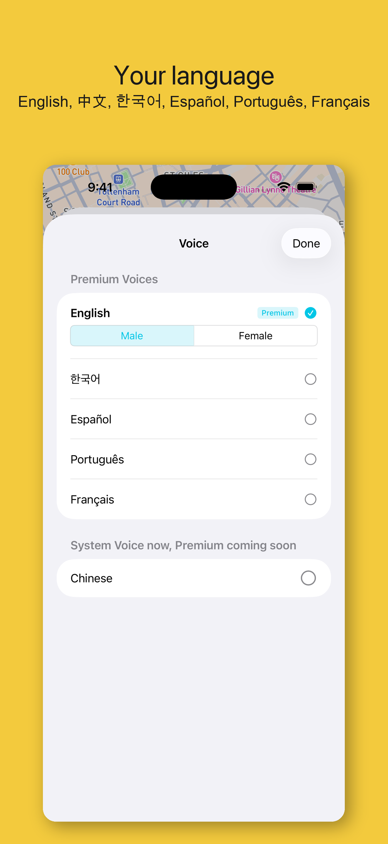 Voice hub — choose language and voice options